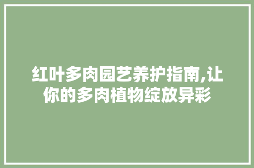 红叶多肉园艺养护指南,让你的多肉植物绽放异彩