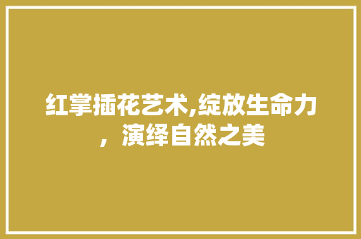 红掌插花艺术,绽放生命力，演绎自然之美