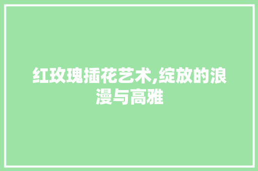 红玫瑰插花艺术,绽放的浪漫与高雅