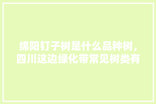 绵阳钉子树是什么品种树，四川这边绿化带常见树类有哪些。