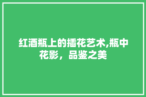 红酒瓶上的插花艺术,瓶中花影，品鉴之美