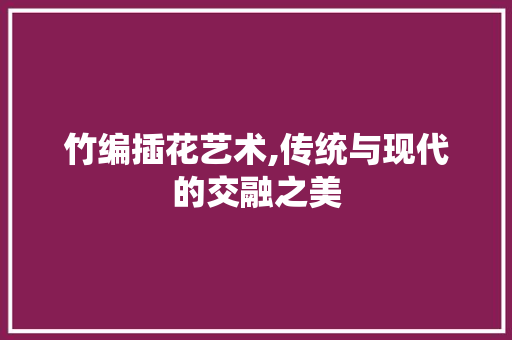 竹编插花艺术,传统与现代的交融之美