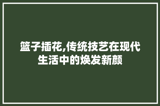篮子插花,传统技艺在现代生活中的焕发新颜