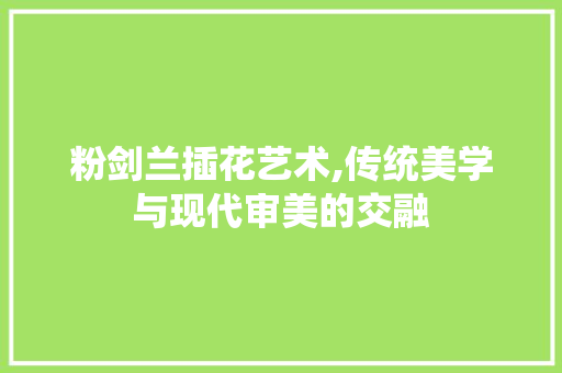 粉剑兰插花艺术,传统美学与现代审美的交融