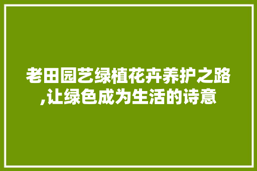 老田园艺绿植花卉养护之路,让绿色成为生活的诗意