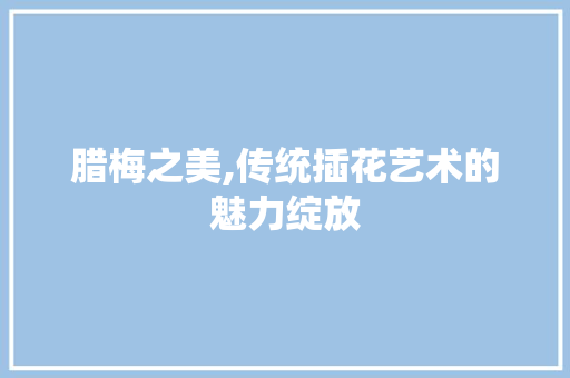 腊梅之美,传统插花艺术的魅力绽放