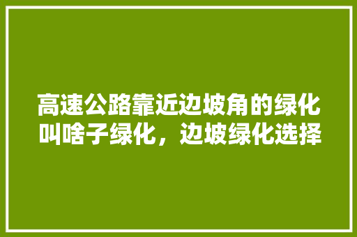 高速公路靠近边坡角的绿化叫啥子绿化，边坡绿化选择哪类植物好。