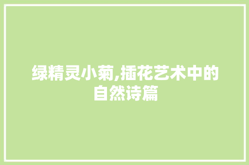 绿精灵小菊,插花艺术中的自然诗篇