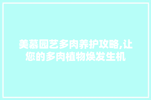 美慕园艺多肉养护攻略,让您的多肉植物焕发生机