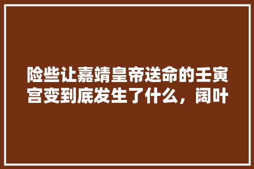 险些让嘉靖皇帝送命的壬寅宫变到底发生了什么，阔叶蕉类绿化植物有哪些。