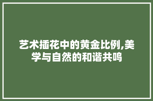 艺术插花中的黄金比例,美学与自然的和谐共鸣