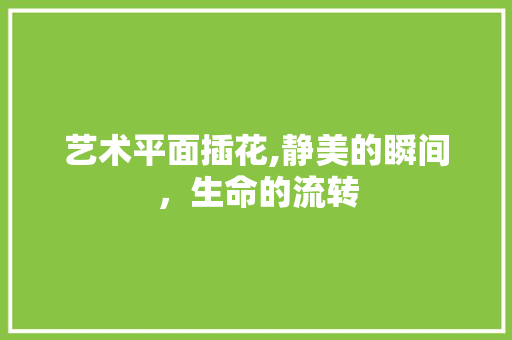 艺术平面插花,静美的瞬间，生命的流转