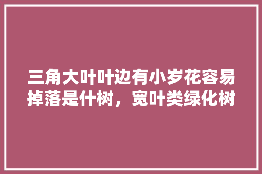 三角大叶叶边有小岁花容易掉落是什树，宽叶类绿化树有哪些品种。