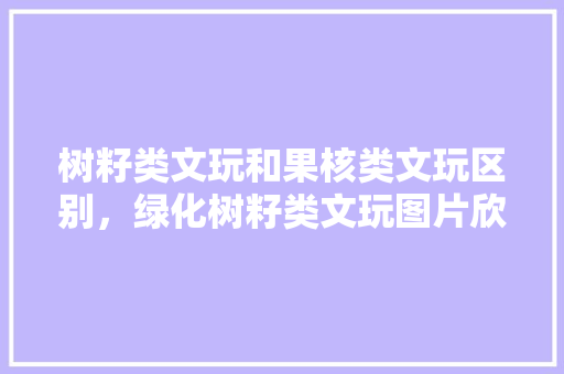 树籽类文玩和果核类文玩区别，绿化树籽类文玩图片欣赏大全。