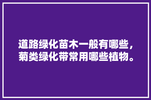 道路绿化苗木一般有哪些，菊类绿化带常用哪些植物。  第1张 道路绿化苗木一般有哪些，菊类绿化带常用哪些植物。 种子类