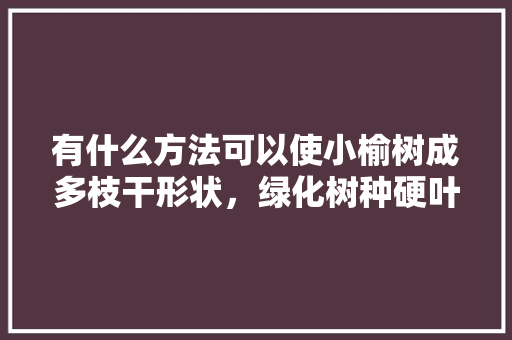 有什么方法可以使小榆树成多枝干形状，绿化树种硬叶类有哪些。
