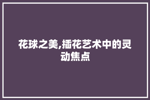 花球之美,插花艺术中的灵动焦点