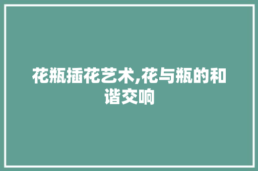 花瓶插花艺术,花与瓶的和谐交响 花卉百科
