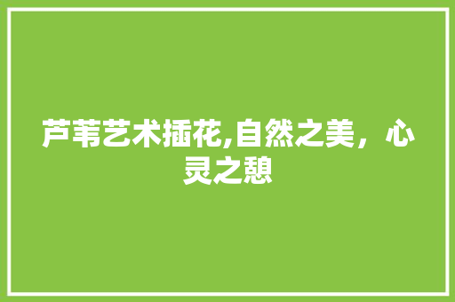 芦苇艺术插花,自然之美，心灵之憩