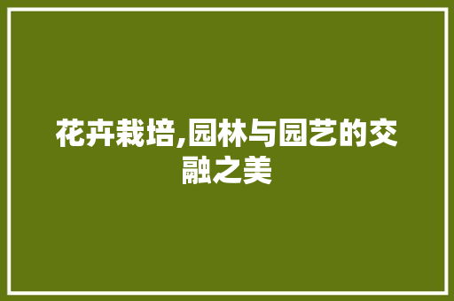 花卉栽培,园林与园艺的交融之美 种子类