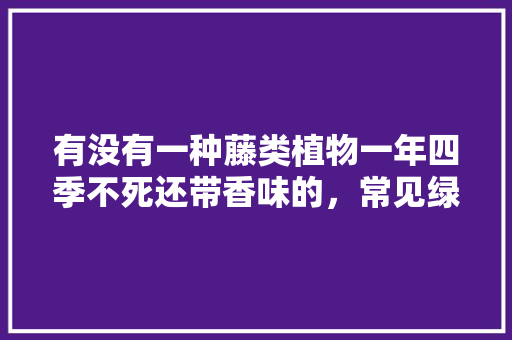有没有一种藤类植物一年四季不死还带香味的，常见绿化藤类植物图片大全。
