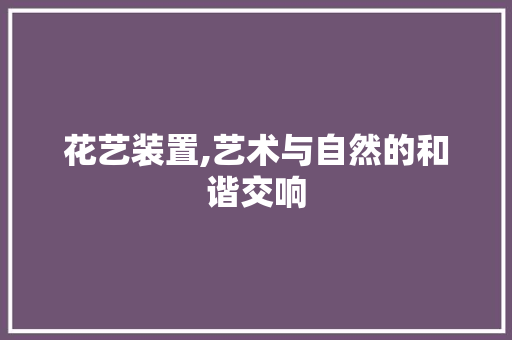 花艺装置,艺术与自然的和谐交响