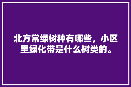 北方常绿树种有哪些，小区里绿化带是什么树类的。