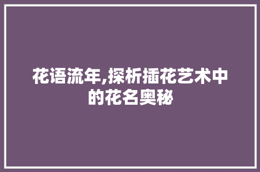 花语流年,探析插花艺术中的花名奥秘
