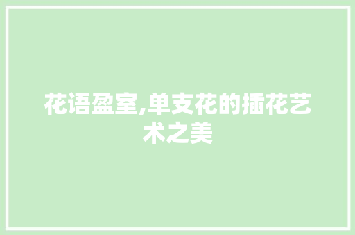 花语盈室,单支花的插花艺术之美
