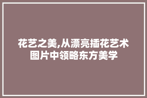 花艺之美,从漂亮插花艺术图片中领略东方美学 种子类