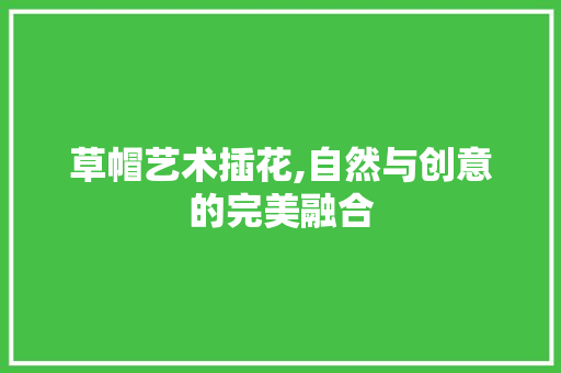 草帽艺术插花,自然与创意的完美融合 栽培技术
