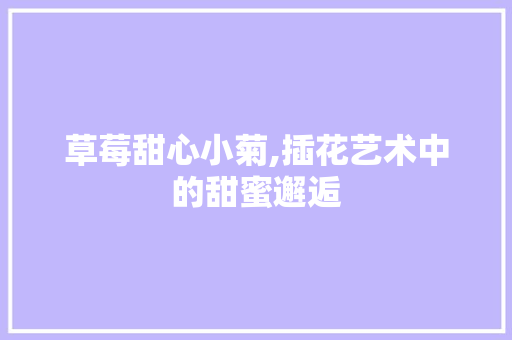 草莓甜心小菊,插花艺术中的甜蜜邂逅