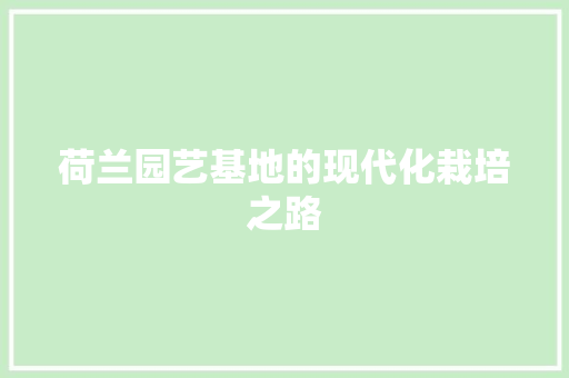 荷兰园艺基地的现代化栽培之路