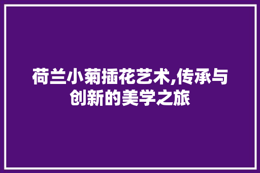 荷兰小菊插花艺术,传承与创新的美学之旅