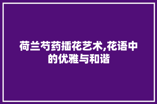 荷兰芍药插花艺术,花语中的优雅与和谐