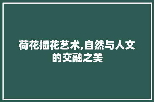 荷花插花艺术,自然与人文的交融之美