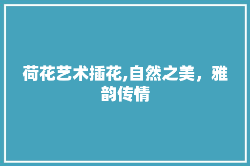 荷花艺术插花,自然之美，雅韵传情
