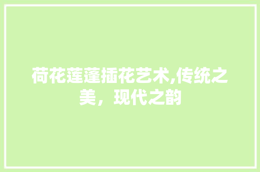荷花莲蓬插花艺术,传统之美，现代之韵