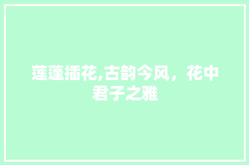 莲蓬插花,古韵今风，花中君子之雅