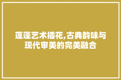 莲蓬艺术插花,古典韵味与现代审美的完美融合