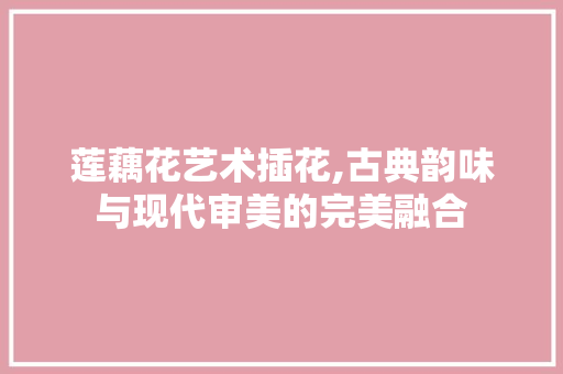 莲藕花艺术插花,古典韵味与现代审美的完美融合 种子类