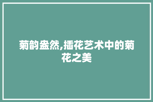 菊韵盎然,插花艺术中的菊花之美