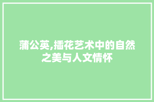 蒲公英,插花艺术中的自然之美与人文情怀
