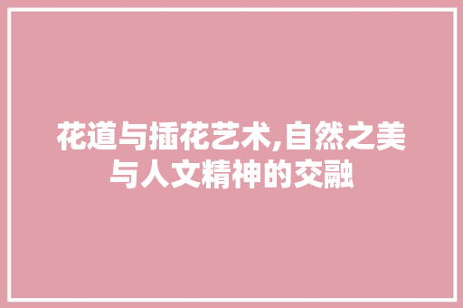 花道与插花艺术,自然之美与人文精神的交融 花卉百科