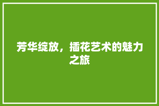 芳华绽放，插花艺术的魅力之旅 花木行情