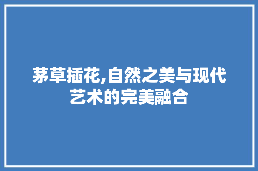 茅草插花,自然之美与现代艺术的完美融合