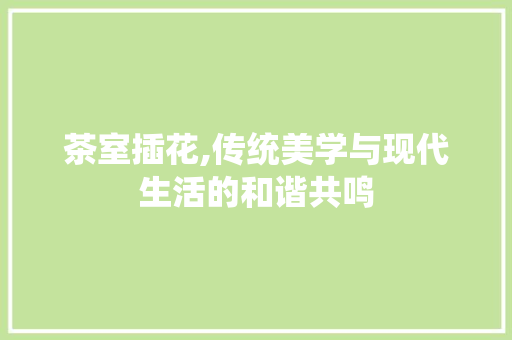 茶室插花,传统美学与现代生活的和谐共鸣