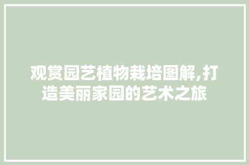 观赏园艺植物栽培图解,打造美丽家园的艺术之旅