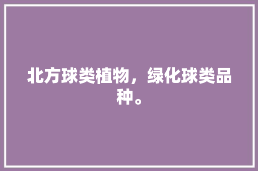 北方球类植物，绿化球类品种。  第2张 北方球类植物，绿化球类品种。 栽培技术