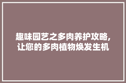 趣味园艺之多肉养护攻略,让您的多肉植物焕发生机